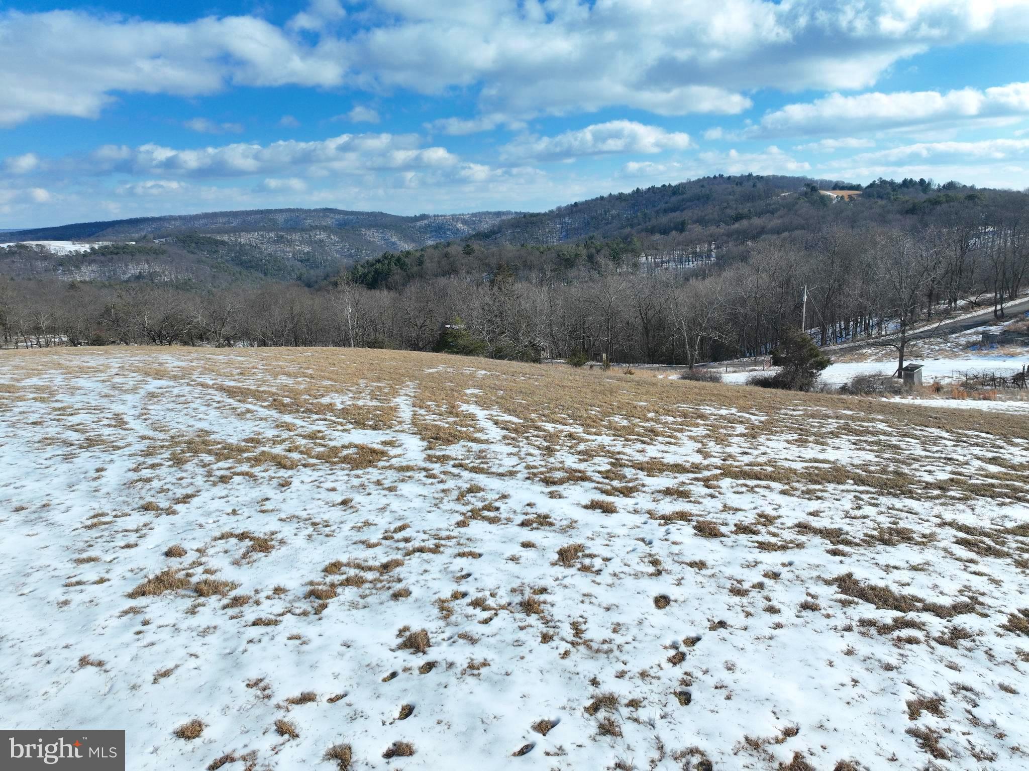 17.55 Shenandoah Mountain Road Moorefield, WV 26836 - Photo 29 of 38 a view of a backyard of a house