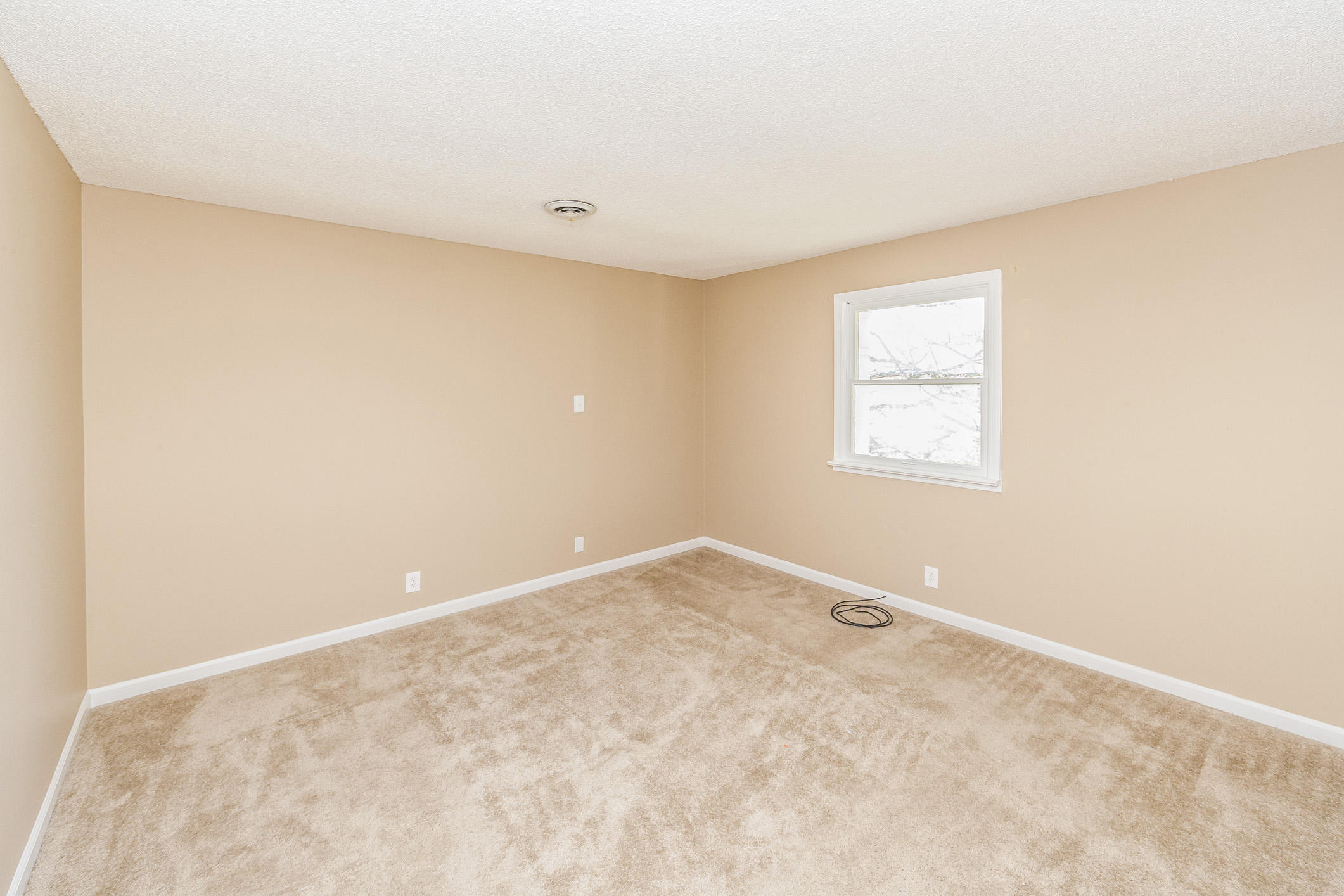 843 New Lake Road Spring City, TN 37381 - Photo 27 of 40 _97N1869w