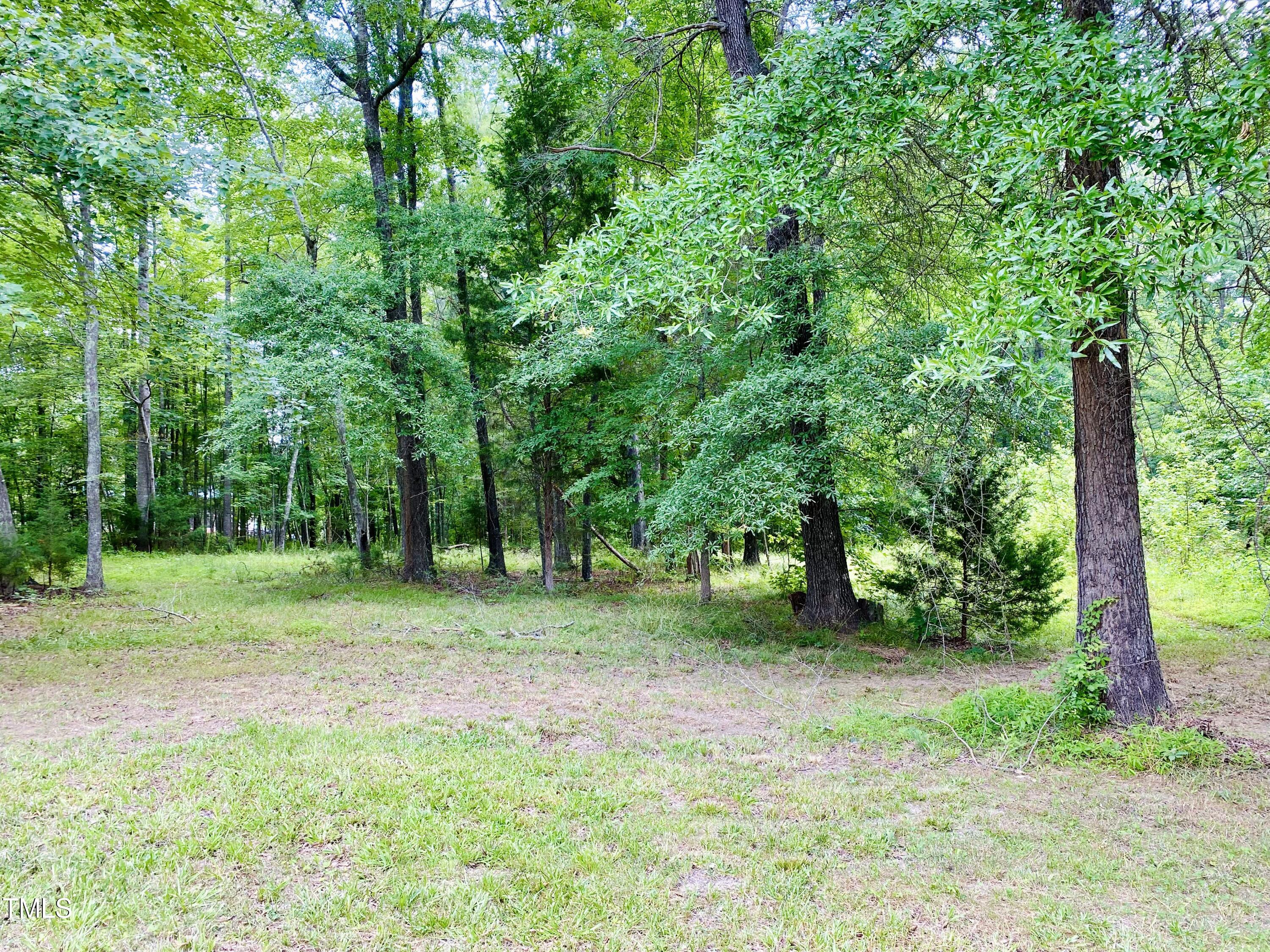 173 Megan Run Roxboro, NC 27574 - Photo 8 of 24 IMG_8984