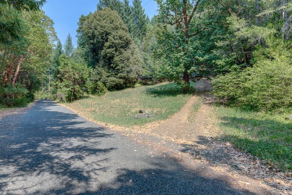 5645 Thompson Creek Road Selma, OR 97538 - Photo 4 of 9 Additional Photo