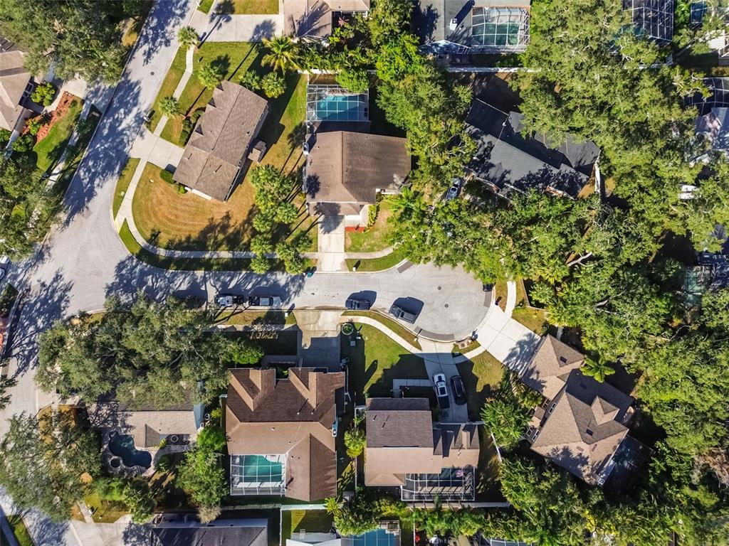 9149 Maple Court Seminole, FL 33777 - Photo 89 of 97