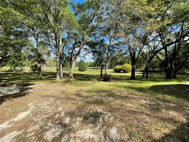 a view of a tree in a yard