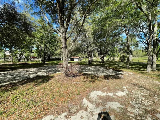a view of yard with tree