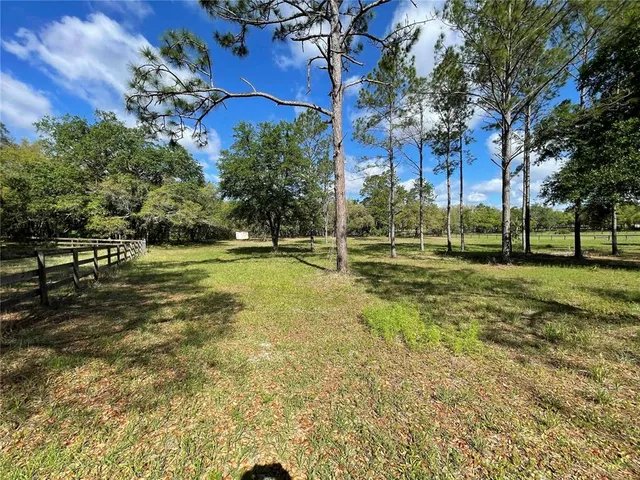 a view of a park with large trees