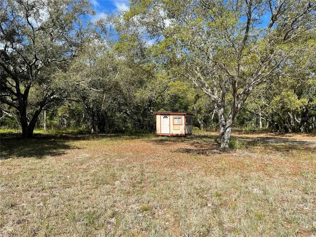 a view of a park with large trees