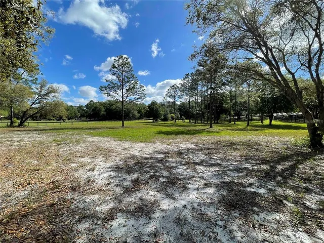 a view of a yard with a tree