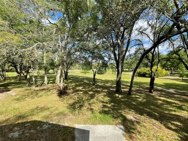 a view of a yard with a tree