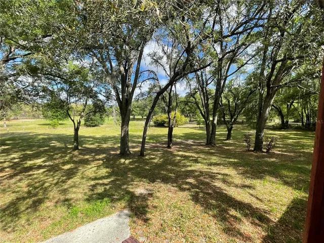 a view of a yard with a tree