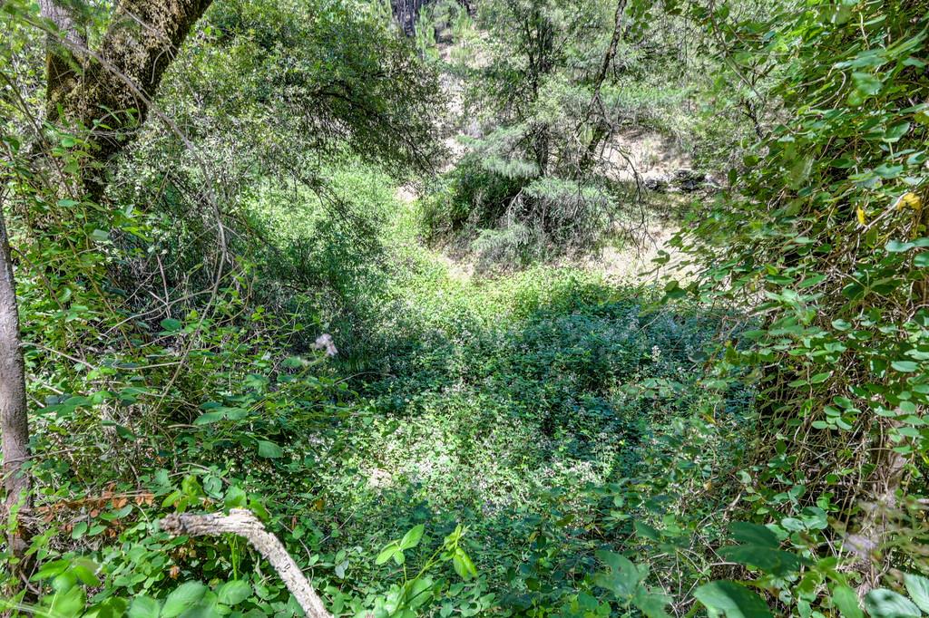 23505 Grand View Way Colfax, CA 95713 - Photo 12 of 32