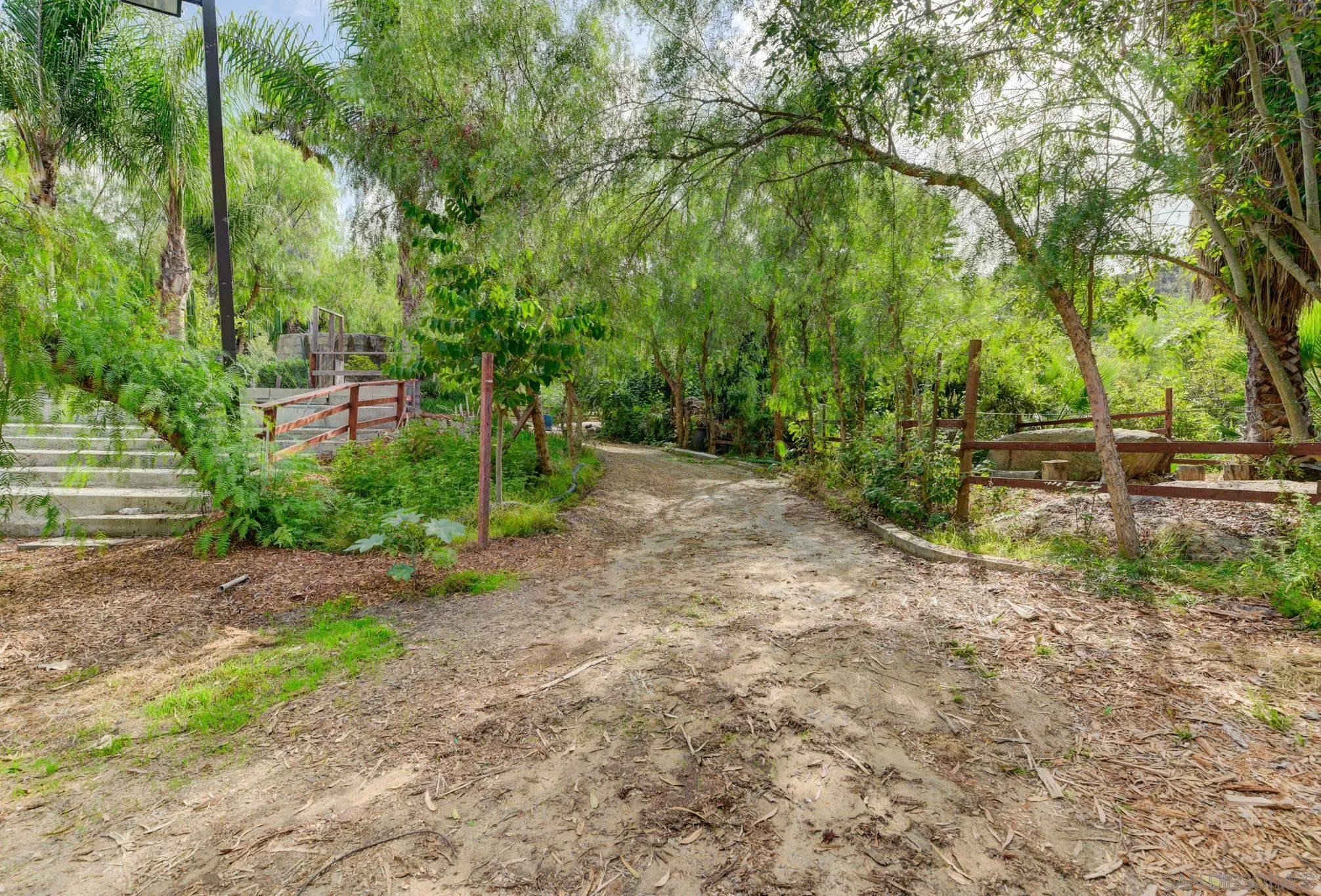 30015 Ridge Creek Road Valley Center, CA 92082 - Photo 24 of 59 a view of a yard with plants and trees
