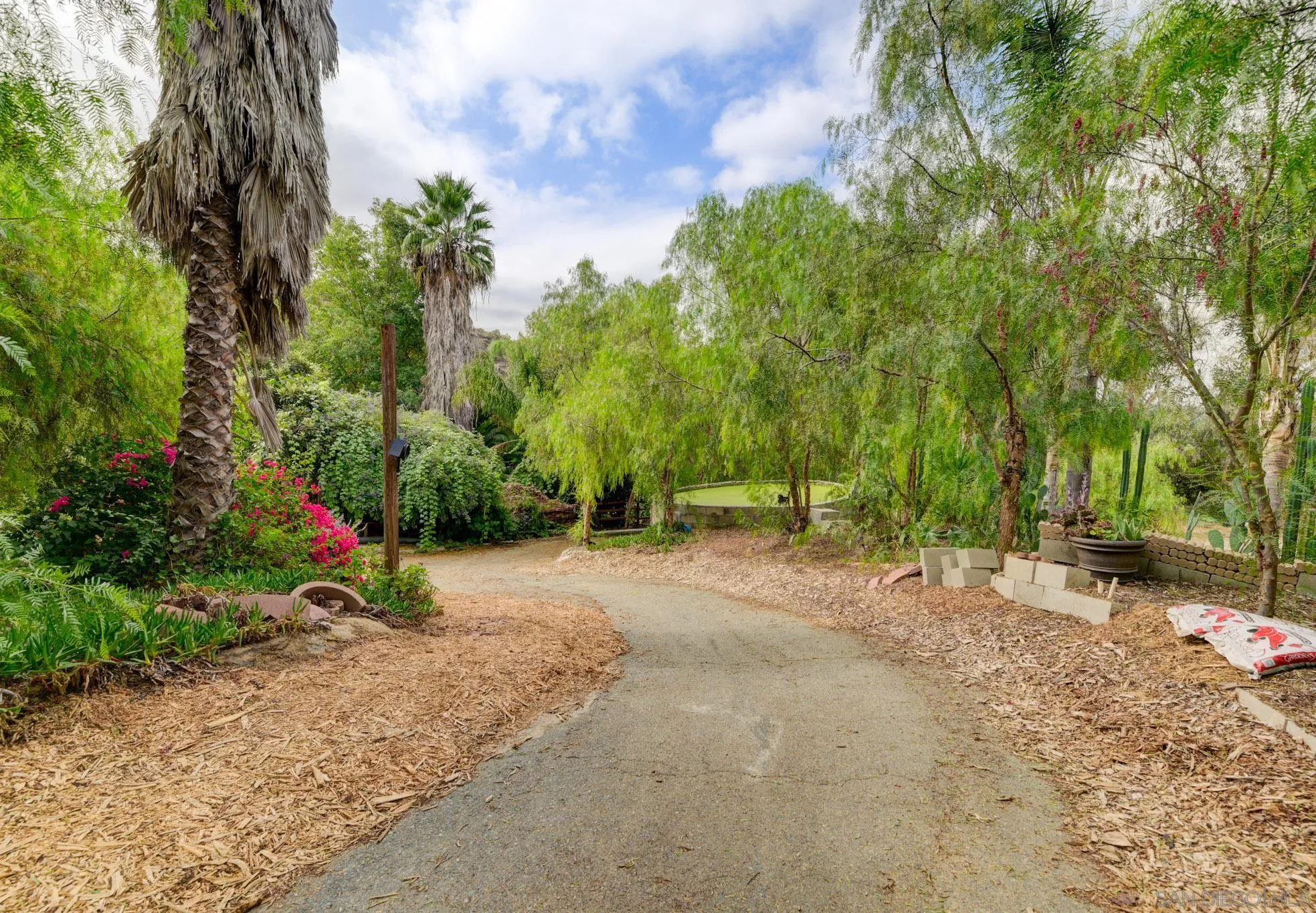 30015 Ridge Creek Road Valley Center, CA 92082 - Photo 27 of 59 a backyard of a house with fire pit and trees
