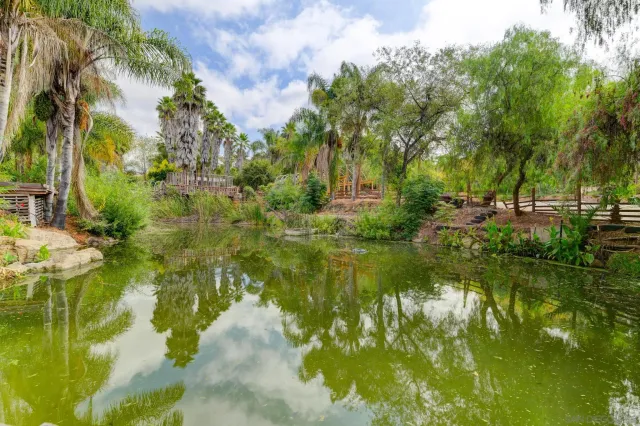 a view of a yard with plants and trees