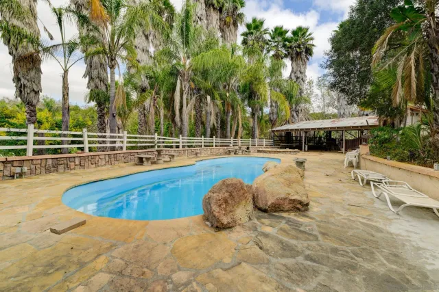 a view of a swimming pool with a patio and palm trees