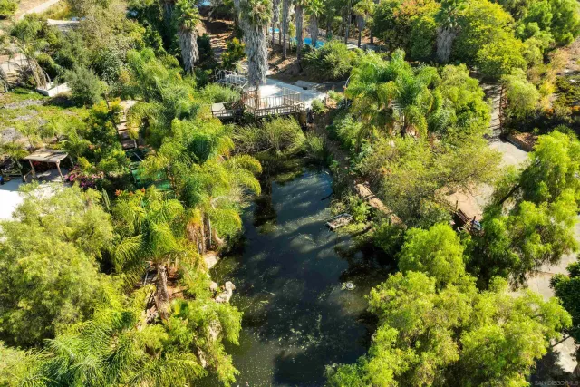 a picture of flowers