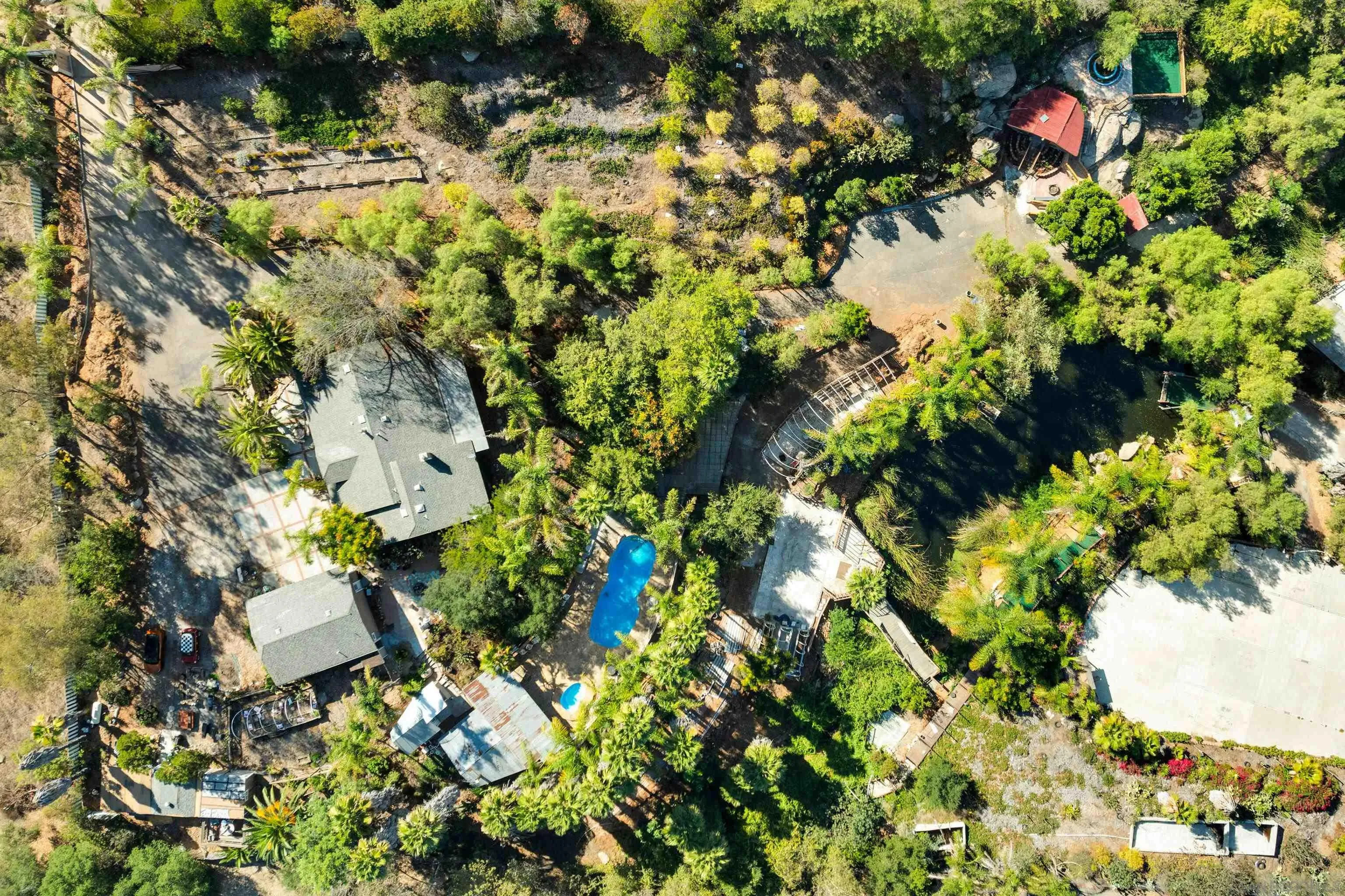 30015 Ridge Creek Road Valley Center, CA 92082 - Photo 45 of 59 a picture of flowers