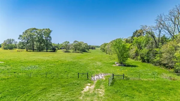a view of a grassy area with an trees