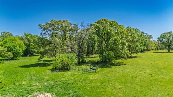 a garden view