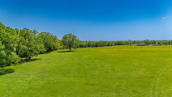 a view of a field with a tree