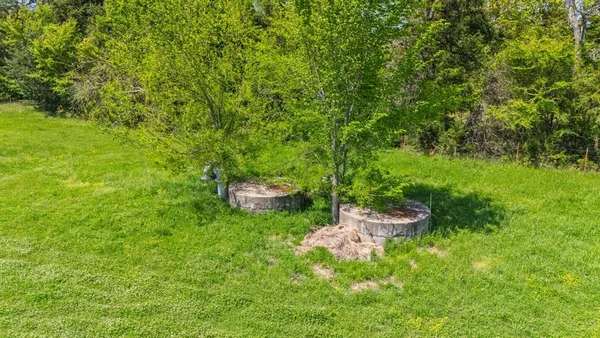 a view of a field with a tree