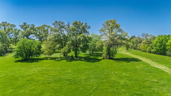 a view of a trees with a yard