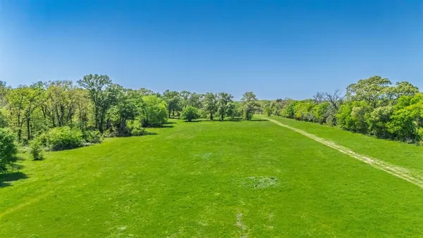 a view of a grassy field with trees