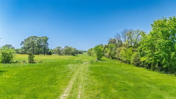 a grassy field with trees in the background