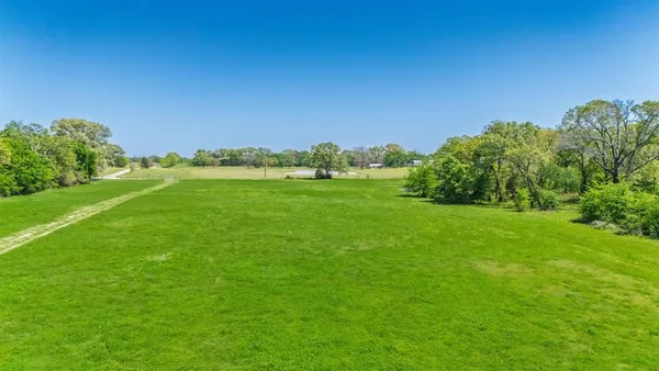 a view of a grassy field with trees