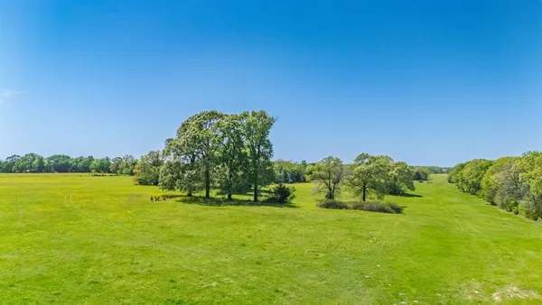 a view of a grassy field with an trees