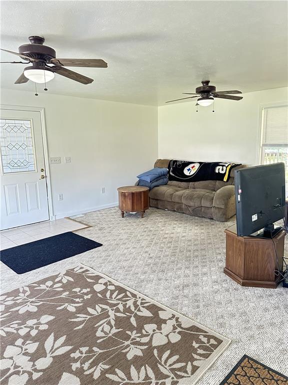 1127 Don Street Monaca, PA 15061 - Photo 4 of 36