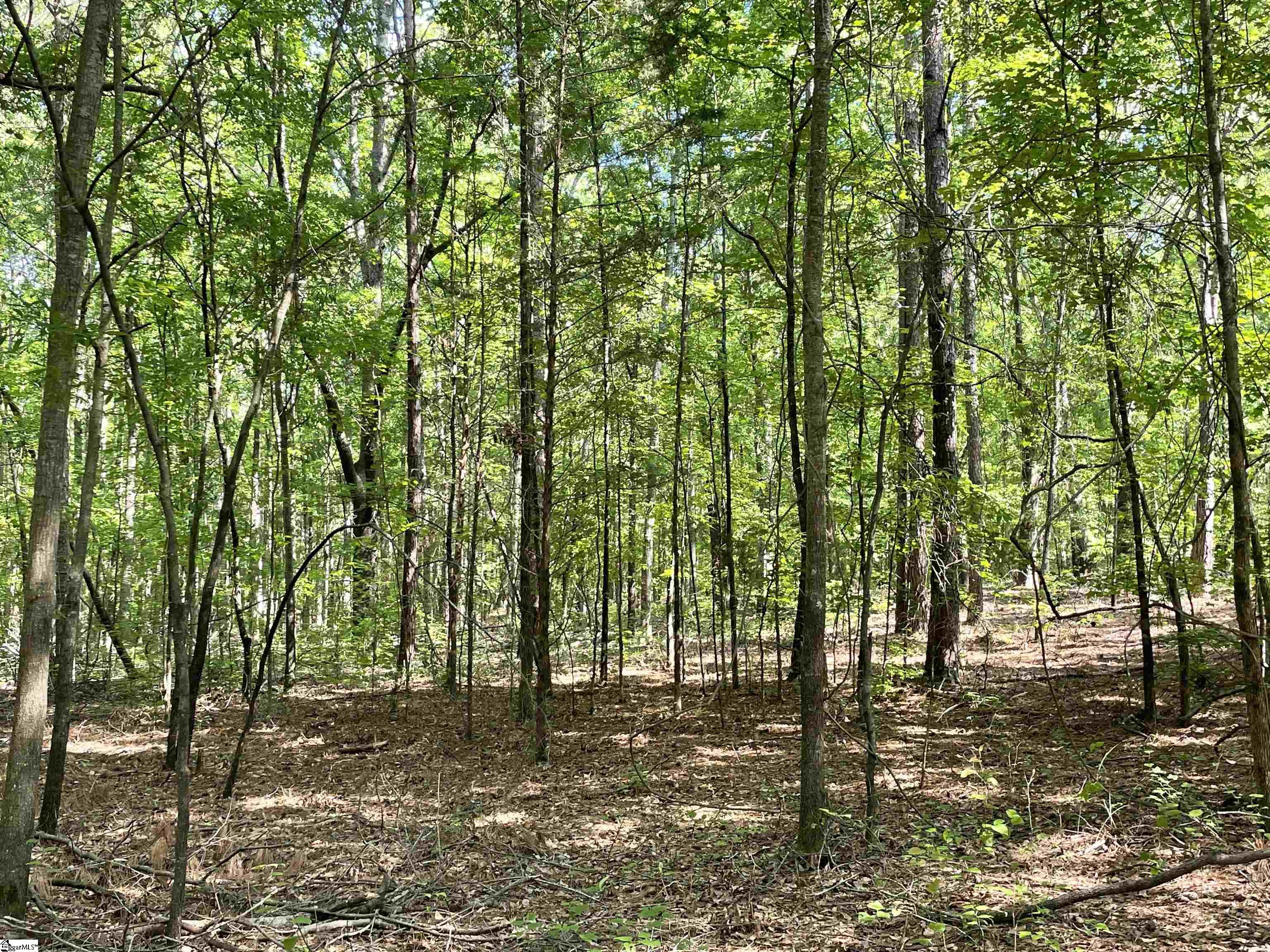 1 Clatworthy Road, Unit LOT 1 Honea Path, SC 29654 - Photo 8 of 27