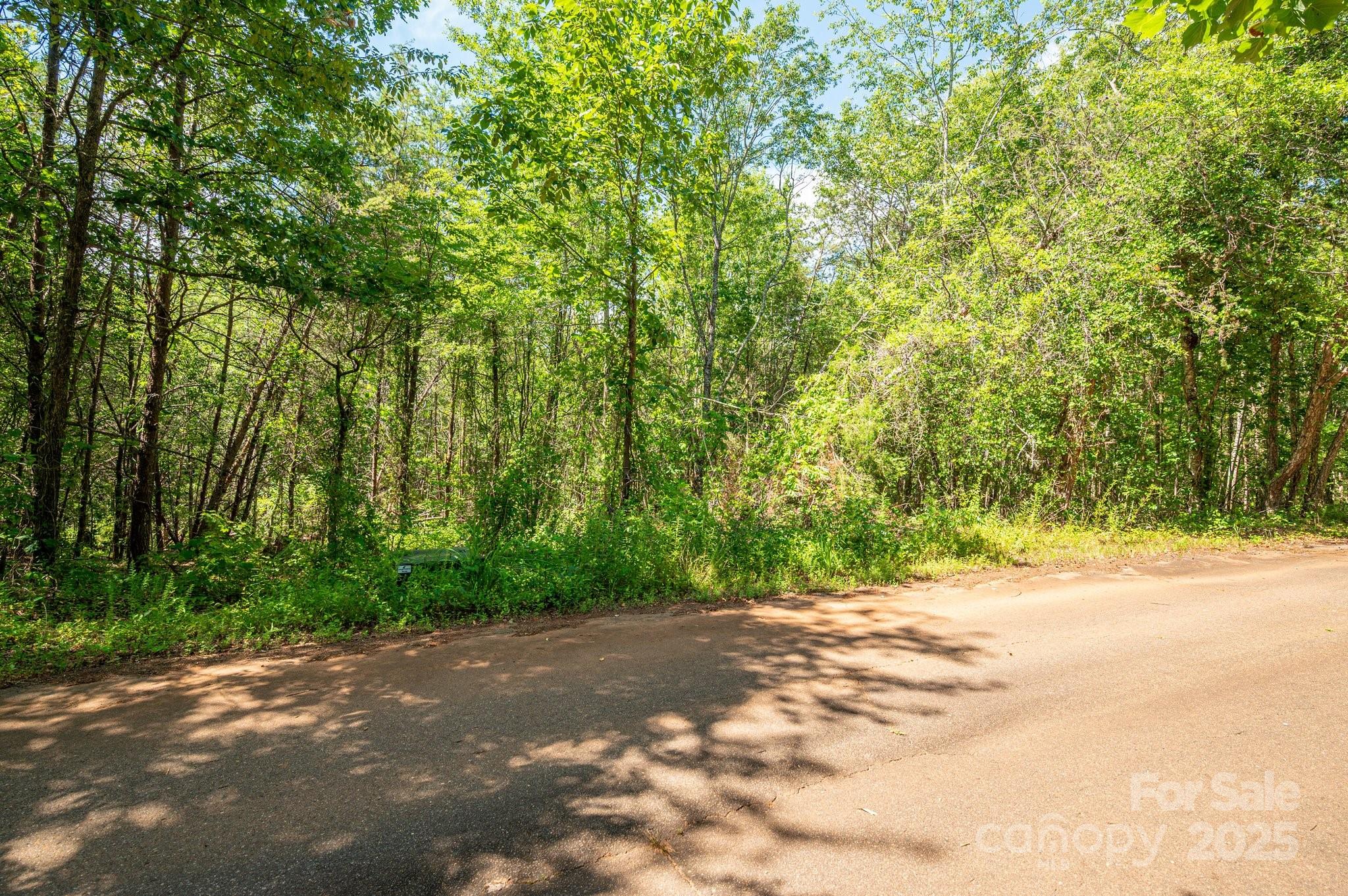 Lot #14 Meadow Crossing Drive Rutherfordton, NC 28139 - Photo 3 of 15 a view of a yard with large trees