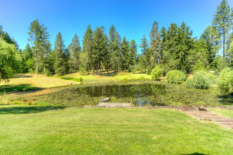 1600 Rounds Avenue Grants Pass, OR 97527 - Photo 5 of 35 a view of a yard with an trees