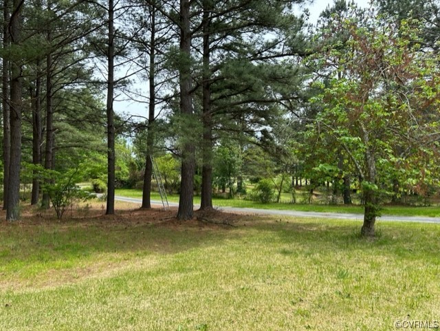 a view of outdoor space with trees all around