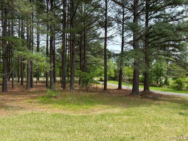 1933 South Genito Road Burkeville, VA 23922 - Photo 2 of 25 a view of outdoor space with trees all around