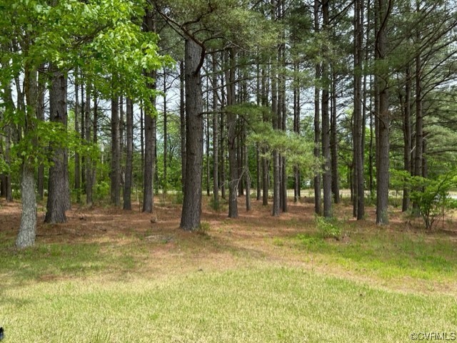 1933 South Genito Road Burkeville, VA 23922 - Photo 3 of 25 a house view with swimming pool