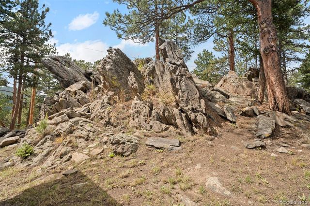 a view of a yard with a tree