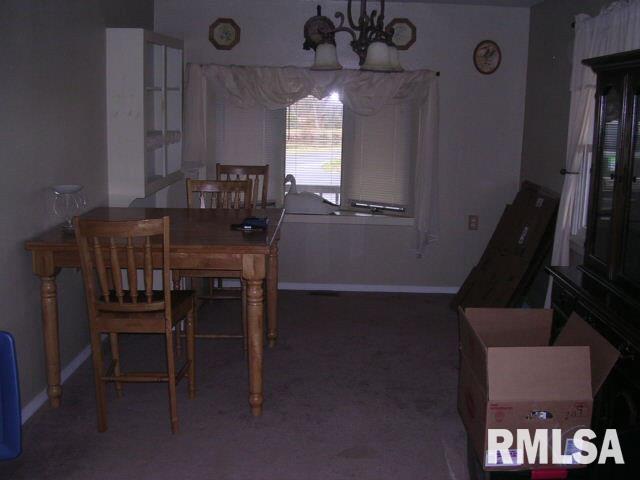 1029 Red Stripe Road Sandoval, IL 62882 - Photo 3 of 15
