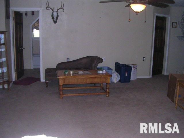 1029 Red Stripe Road Sandoval, IL 62882 - Photo 7 of 15