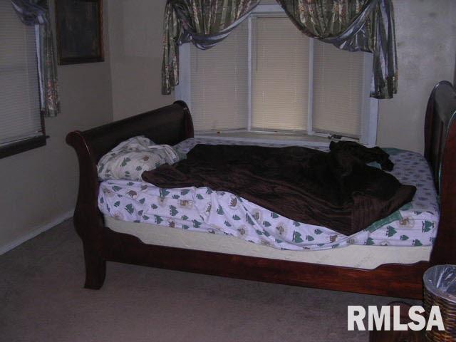 1029 Red Stripe Road Sandoval, IL 62882 - Photo 8 of 15