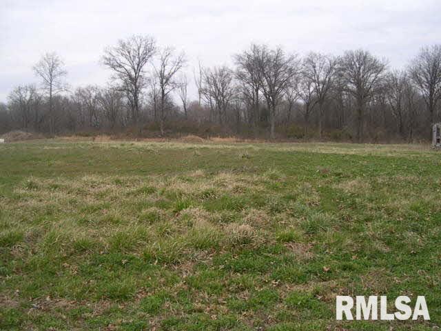 1029 Red Stripe Road Sandoval, IL 62882 - Photo 10 of 15