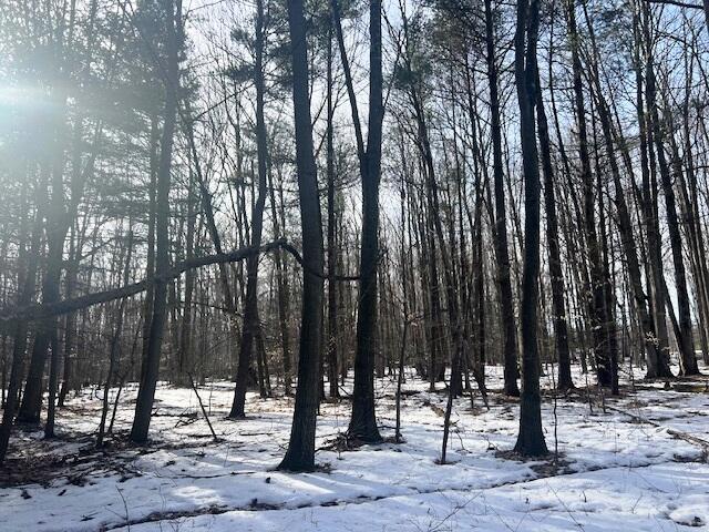 0 West Adams Road Hesperia, MI 49421 - Photo 48 of 74