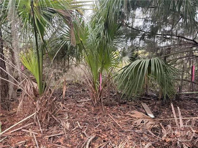 $224,700 | 209 Battery Way, Savannah, GA 31410