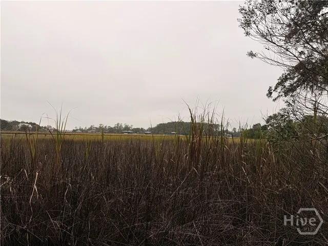 $224,700 | 209 Battery Way, Savannah, GA 31410