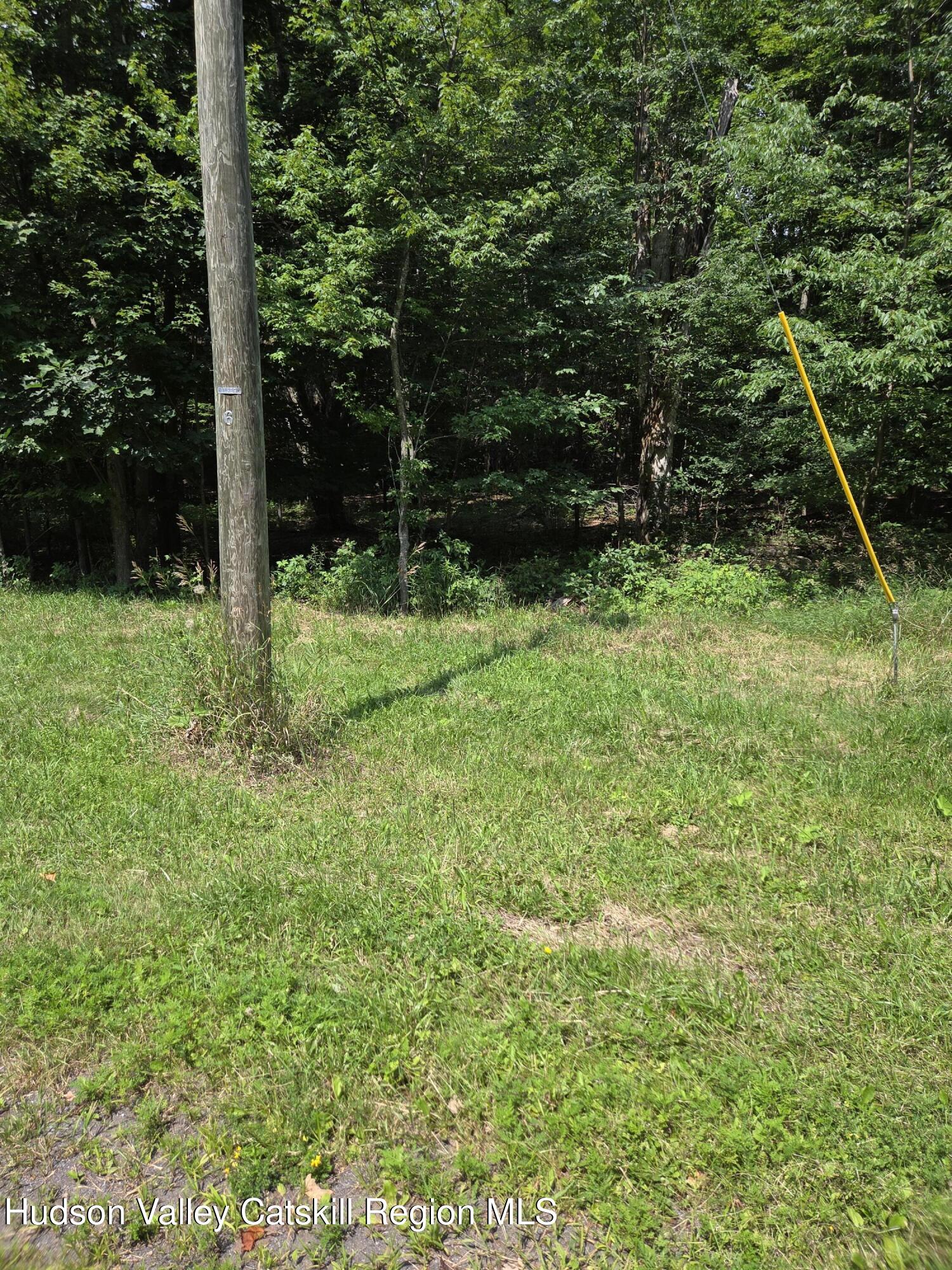 0 Harry Peckham Road Prattsville, NY 12468 - Photo 6 of 7 20260726_141451 (1)