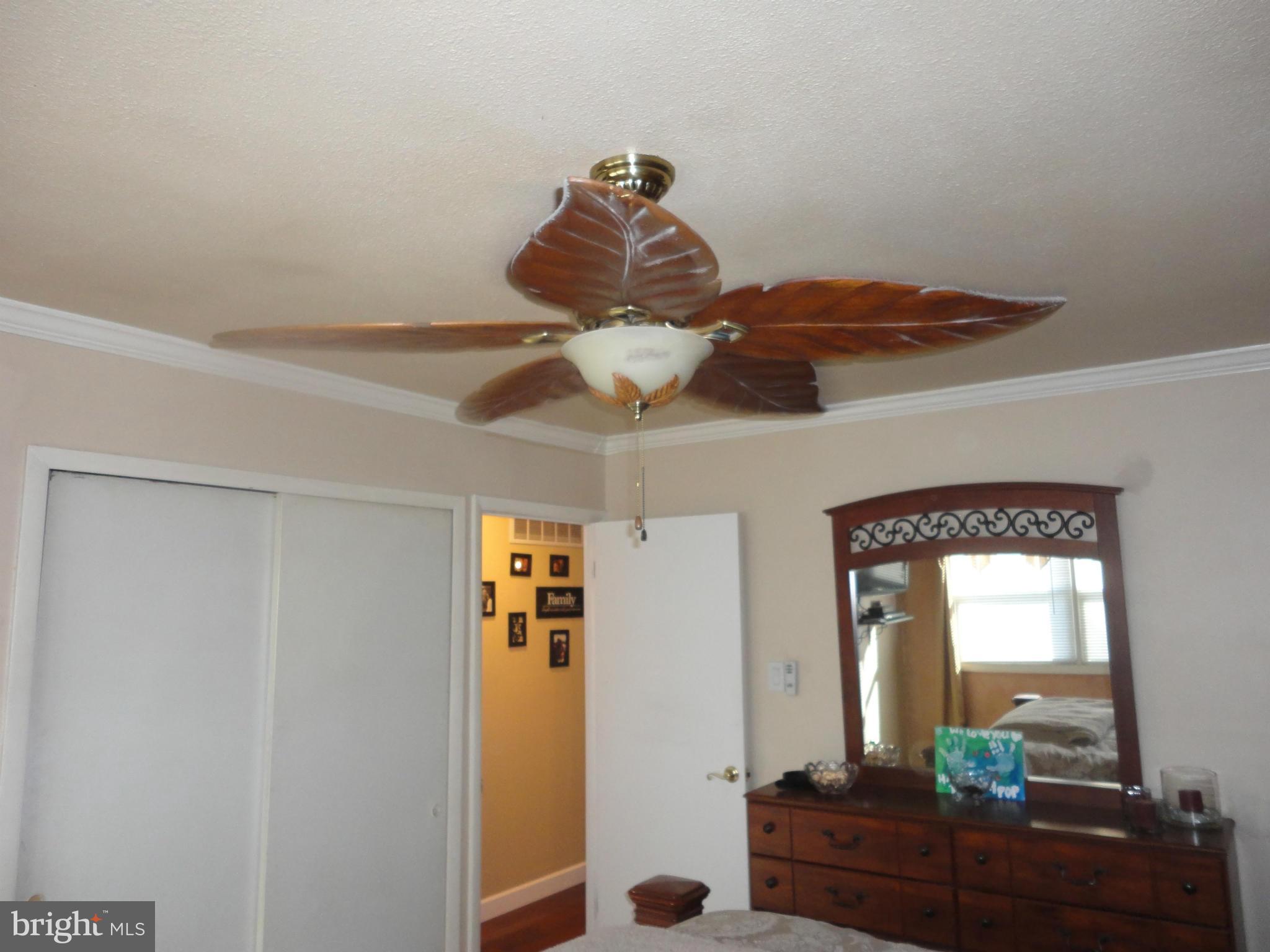 112 Strongwood Road Owings Mills, MD 21117 - Photo 14 of 30 Ceiling Fan in Master