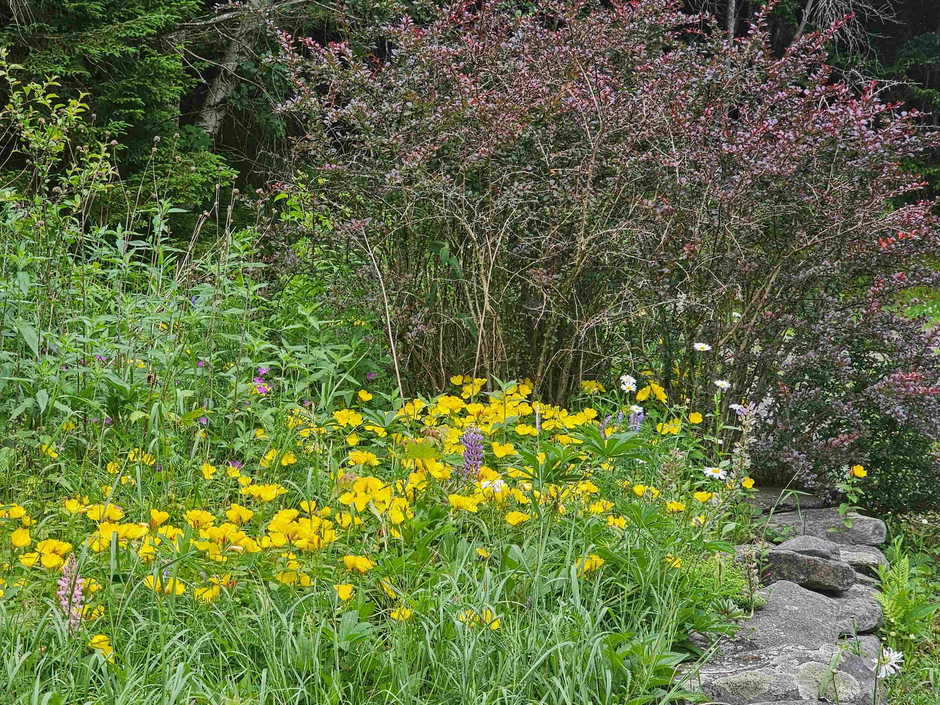 41 Top Of Hill Road Wilmington, VT 05363 - Photo 47 of 52 Gallery Image 47
