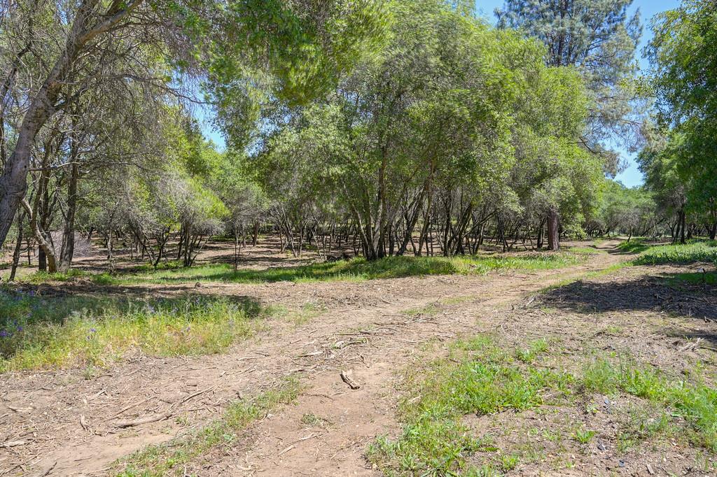 10650 Werner Road Auburn, CA 95603 - Photo 1 of 50 a view of swimming pool with a yard