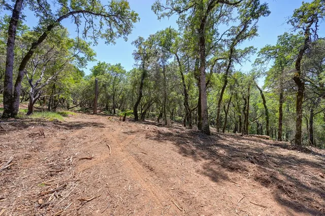 a view of outdoor space with trees