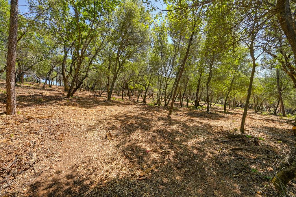 10650 Werner Road Auburn, CA 95603 - Photo 13 of 50 a fire hydrant in the middle of a field