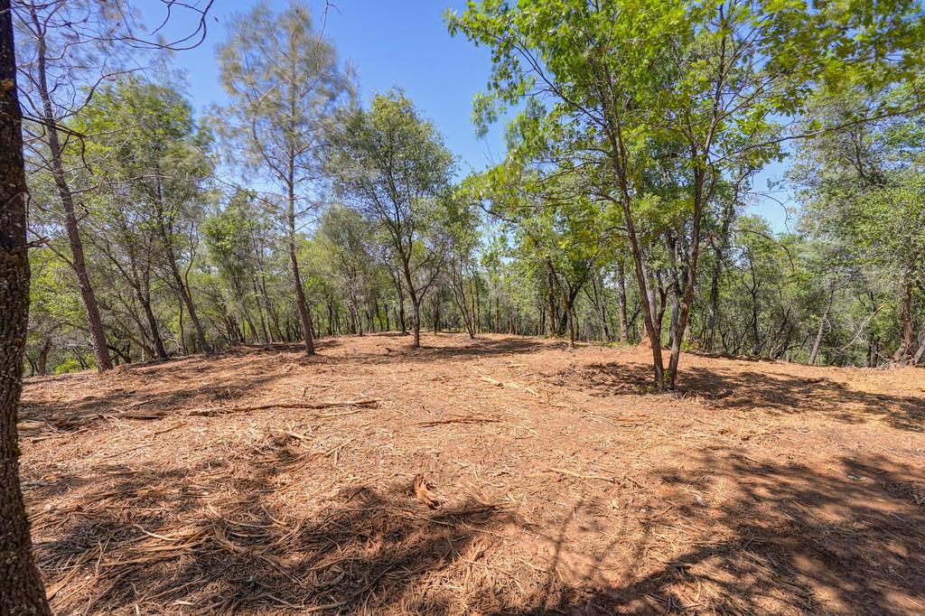 10650 Werner Road Auburn, CA 95603 - Photo 14 of 50 a view of empty space with trees
